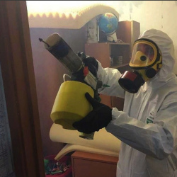 Уничтожение клопов в квартире. Жиздра